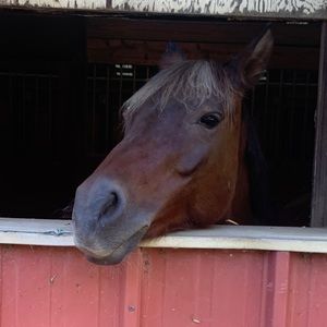 Meet your Posher, Emma